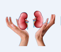 Kidney Total Care India