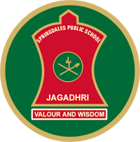 Springdales Public School, Yamuna Nagar